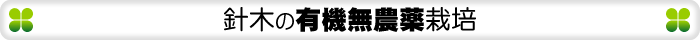 四万十甘栗　針木の有機無農薬栽培