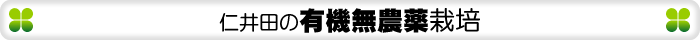 人参　仁井田の有機無農薬栽培